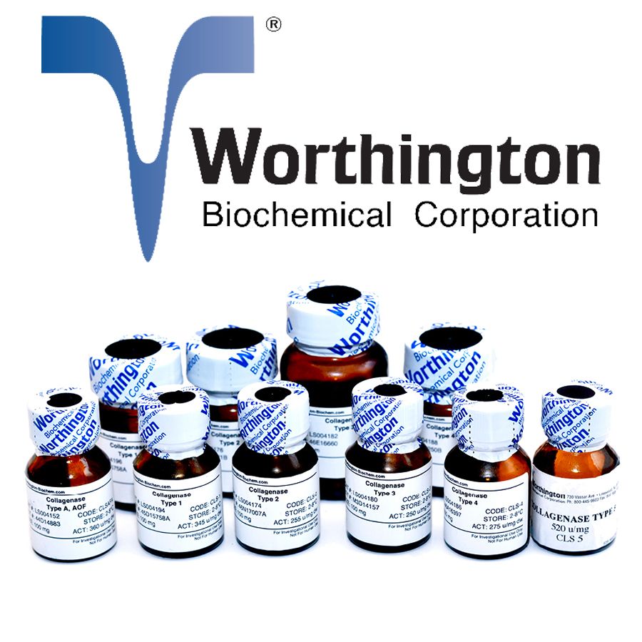 Worthington代理|Worthington Collagenase, Type 1 现货,Collagenase