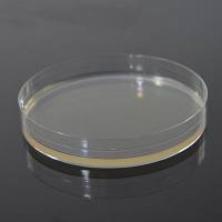 细胞生长曲线的测定