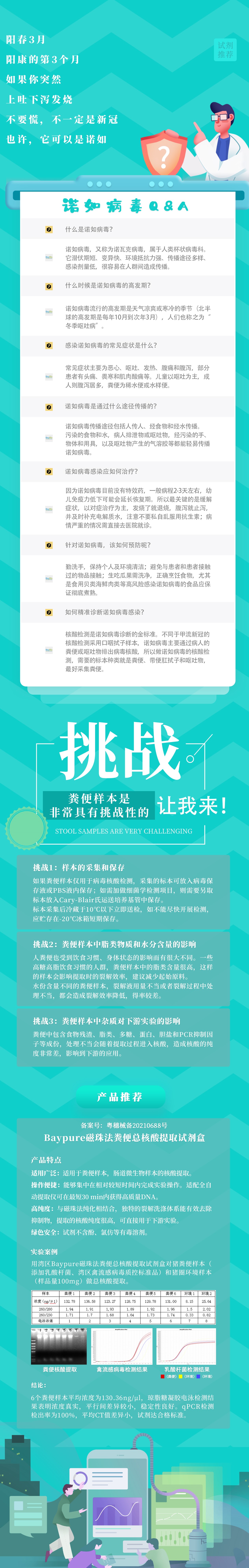 一文带你了解诺如病毒