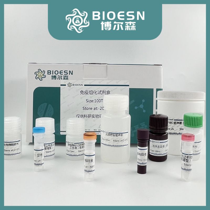 Bax 免疫组化试剂盒