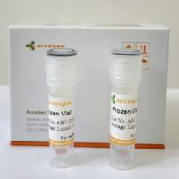 AcceGen NCI-H460细胞