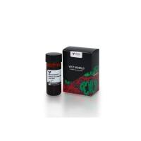 Vectorlabs H-1200荧光封片剂(含DAPI)