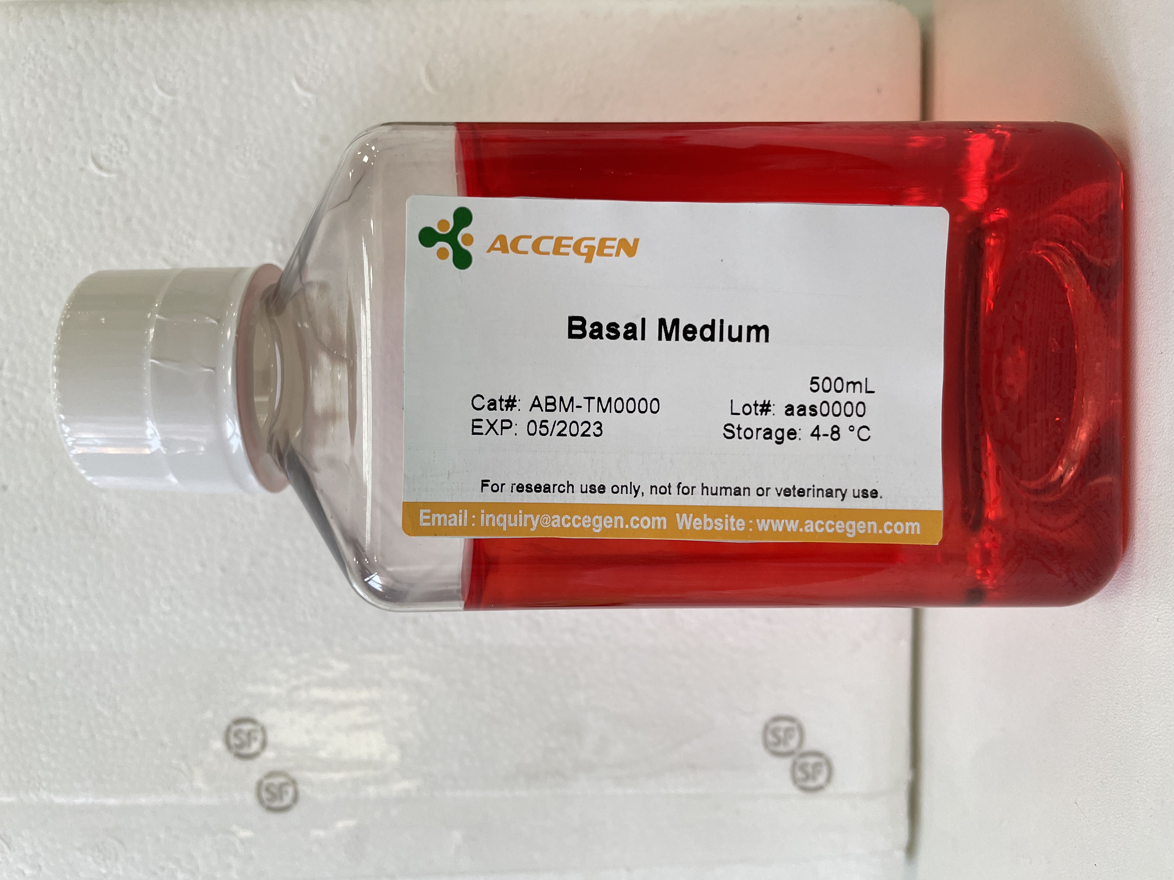 Wistar大鼠星形胶质细胞