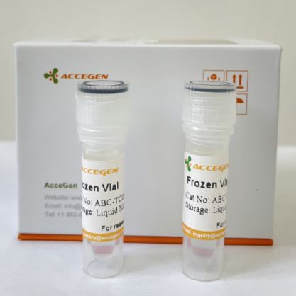 AceSeq™ mRNA Sequencing Kit for Illumina®