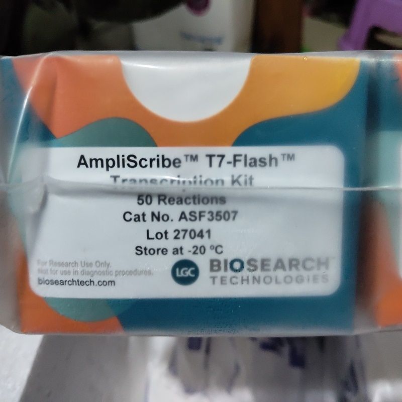 Lucigen ASF3507 AmpliScribe™ T7快速体外转录试剂盒 AmpliScribe™ T7-Flash™ Transcription Kit