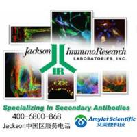 Alexa Fluor 488标记色谱级人IgG,Fc片段化|Alexa Fluor 488-ChromPure Human IgG, Fc fragment