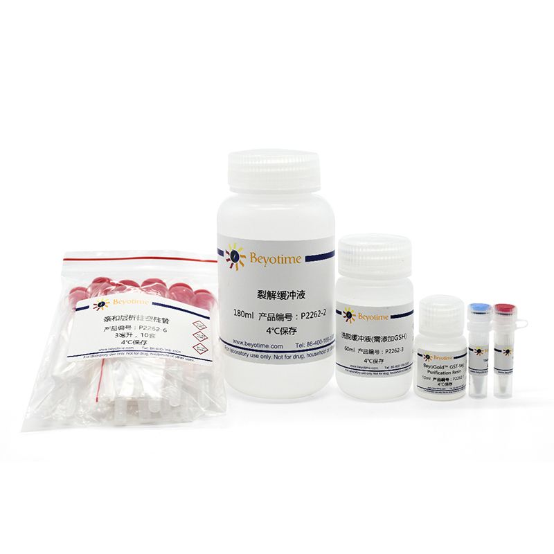 GST 标签蛋白纯化试剂盒