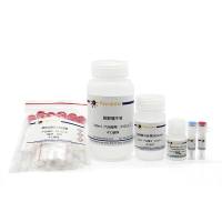 GST 标签蛋白纯化试剂盒