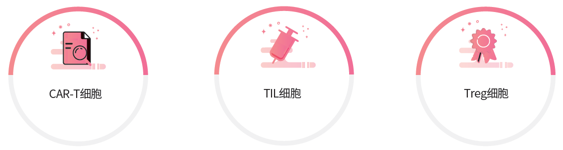 【特别推荐】T细胞激活培养解决方案