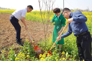 常德市第四人民医院开展春季植树活动