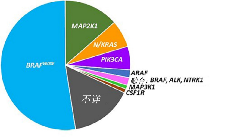 图片预览