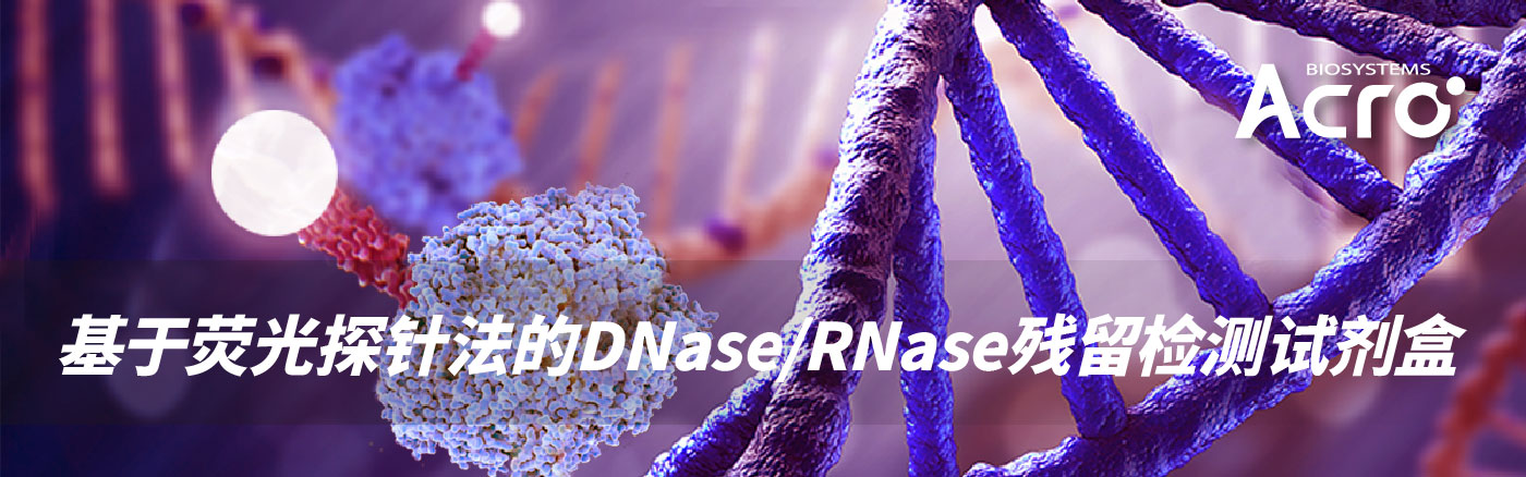 基于法规的生物制品生产工艺杂质控制关键点之——核酸酶残留控制