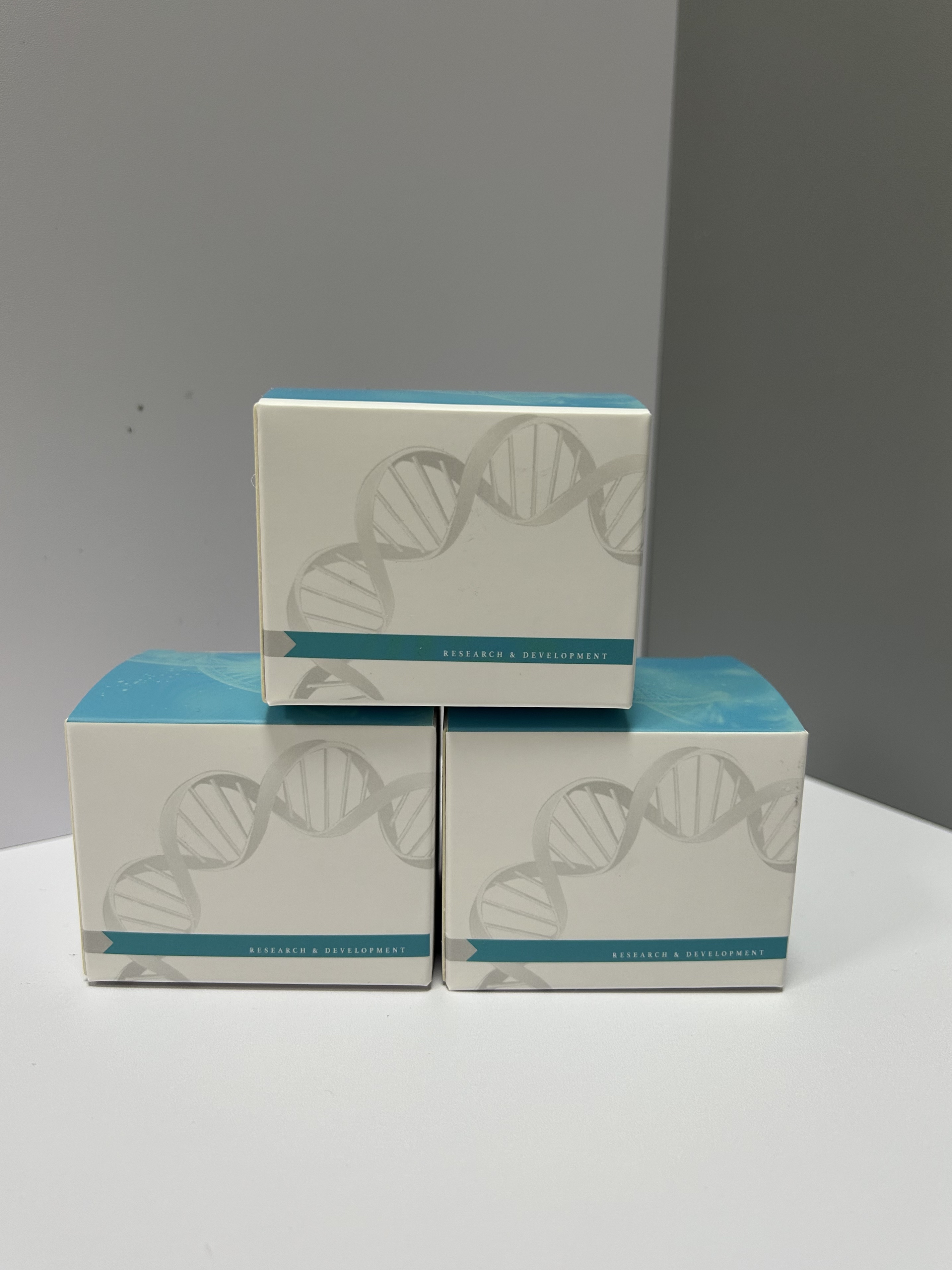 DEPC水(去RNA酶水)(RNAse-free水)