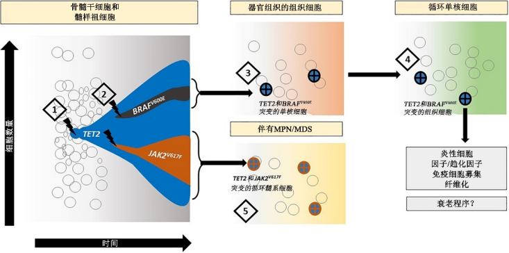 图片预览