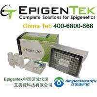 植物染色质免疫沉淀（ChIP）试剂盒
（24次反应） 现货|EpiQuik Plant Chromatin Immunoprecipitation(ChIP) Kit(24 reactions)