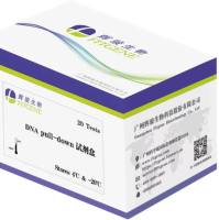 DNA pull down试剂盒 强亲和力/操作简便/周期短/辉骏生物