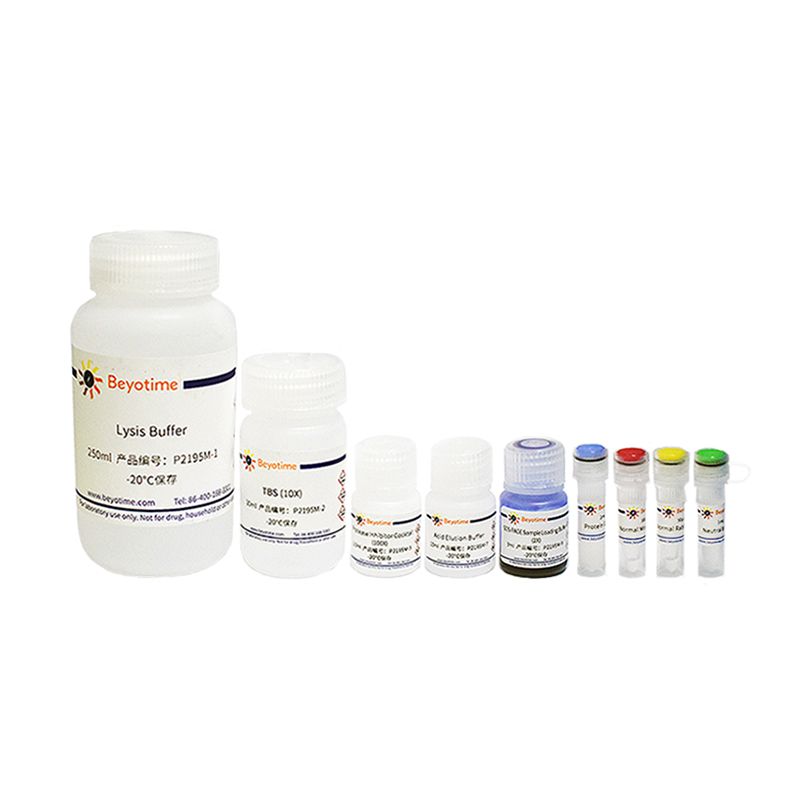 免疫沉淀试剂盒(Protein A+G琼脂糖凝胶法)
