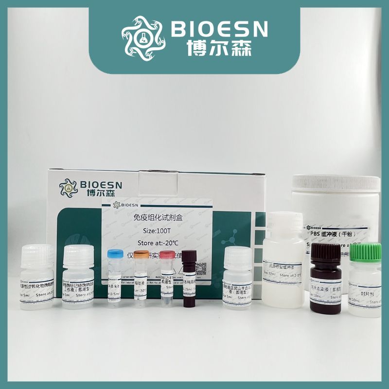 组蛋白H3（核内参）单克隆即用型免疫组化试剂盒/Histone H3 Ready-To-Use IHC Kit