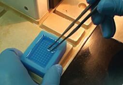 组织芯片蜡块模具