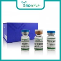 对氧磷酶3(PON3)重组蛋白