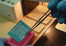 组织芯片蜡块模具