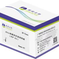 RNA免疫共沉淀试剂盒-适用广泛-稳定性高-节约成本-辉骏生物rip试剂盒厂家