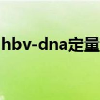 HBV 乙肝病毒 DNA定量 分析
