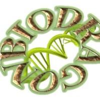 Biodragon博奥龙BDIT0062现货100bp Ladder DNA Marker上海睿安生物19121878899博奥龙Biodragon独家总代理