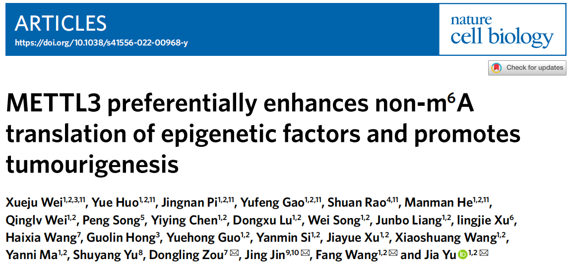 NCB(IF=28) |胃癌新机制：METTL3优先增强表观遗传因子的非m6A翻译并促进肿瘤发生