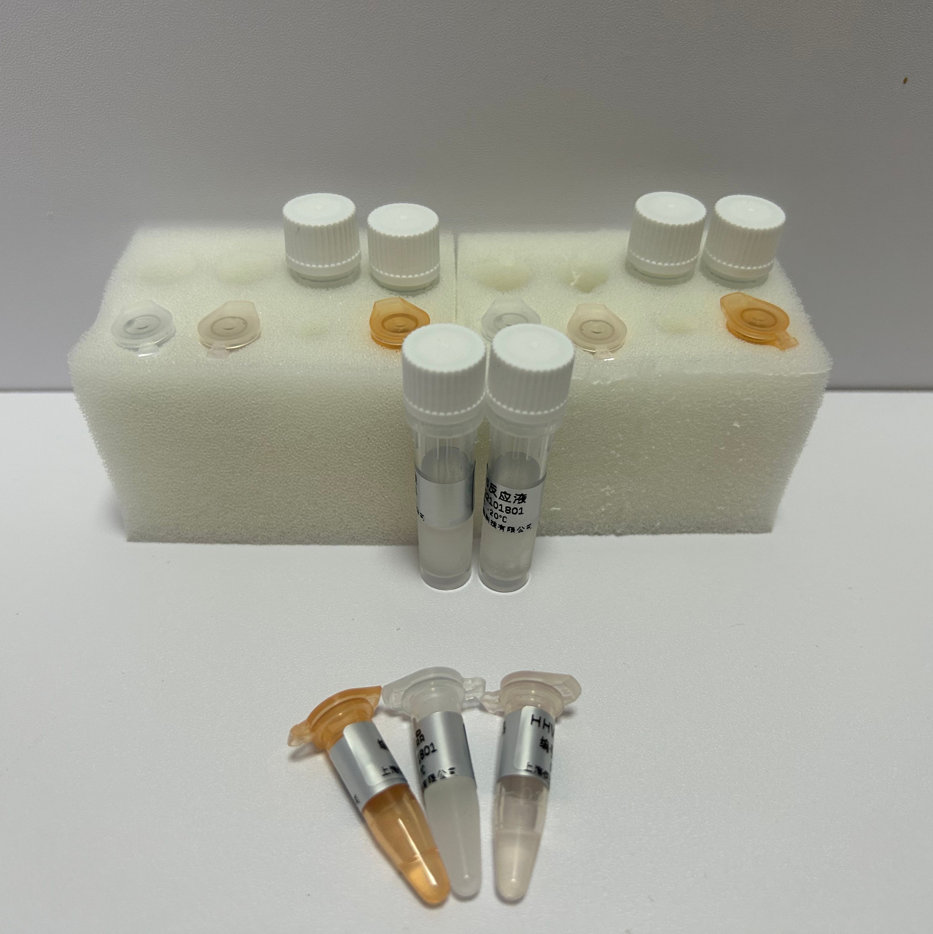 cDNA第一链合成试剂盒（逆转录试剂盒、RT试剂盒）