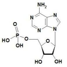 供应5'-腺嘌呤核苷酸  cas：61-19-8