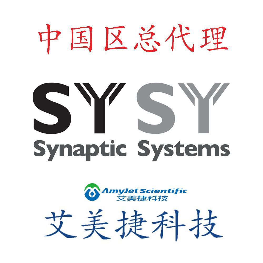 Synaptogyrin 1 |Synaptogyrin 1 - 103 011