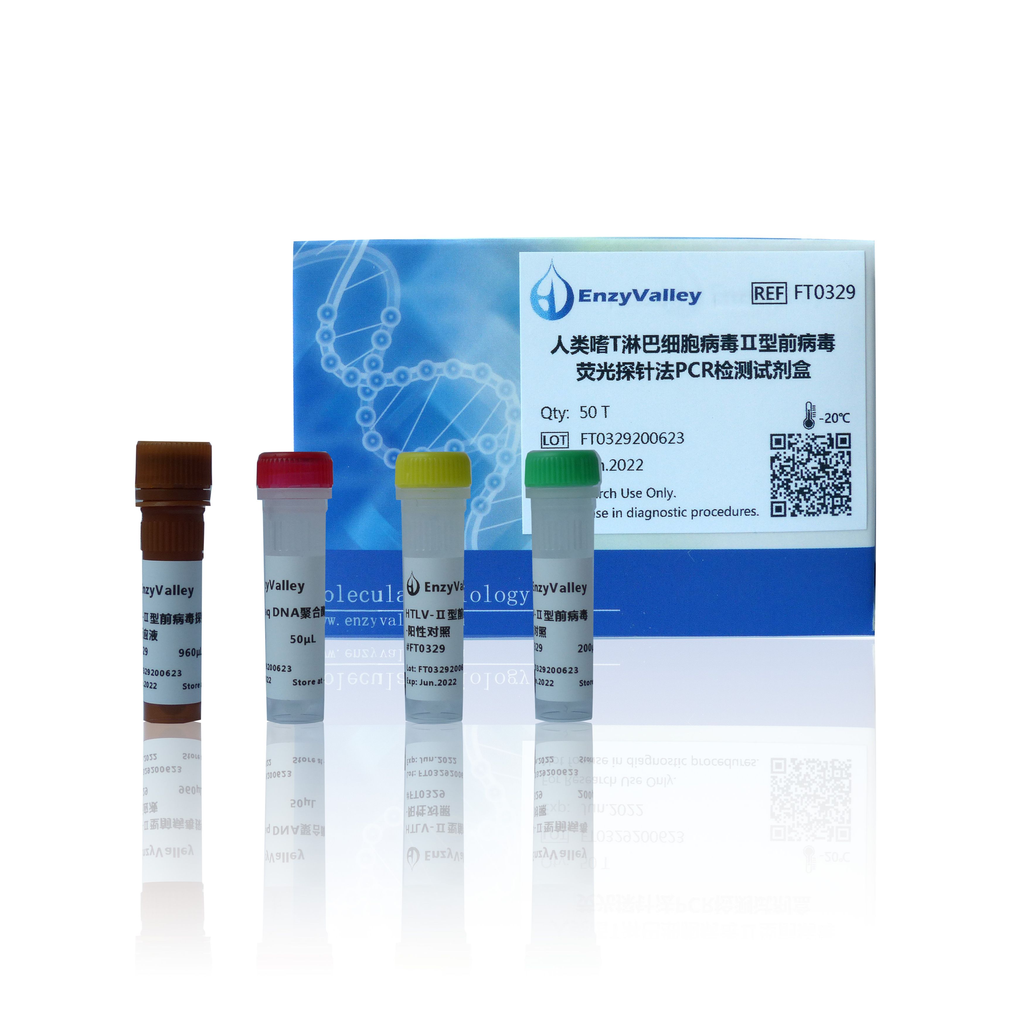 人类嗜T淋巴细胞病毒Ⅱ型前病毒荧光 探针法PCR检测试剂盒