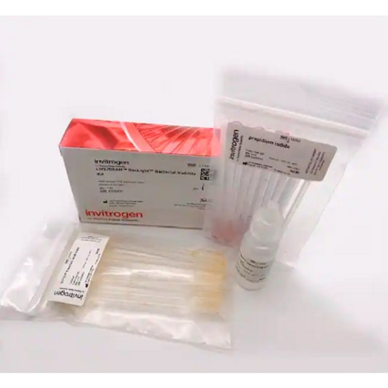 Invitrogen™ L13152  LIVE/DEAD™ BacLight™ 细菌活力检测试剂盒