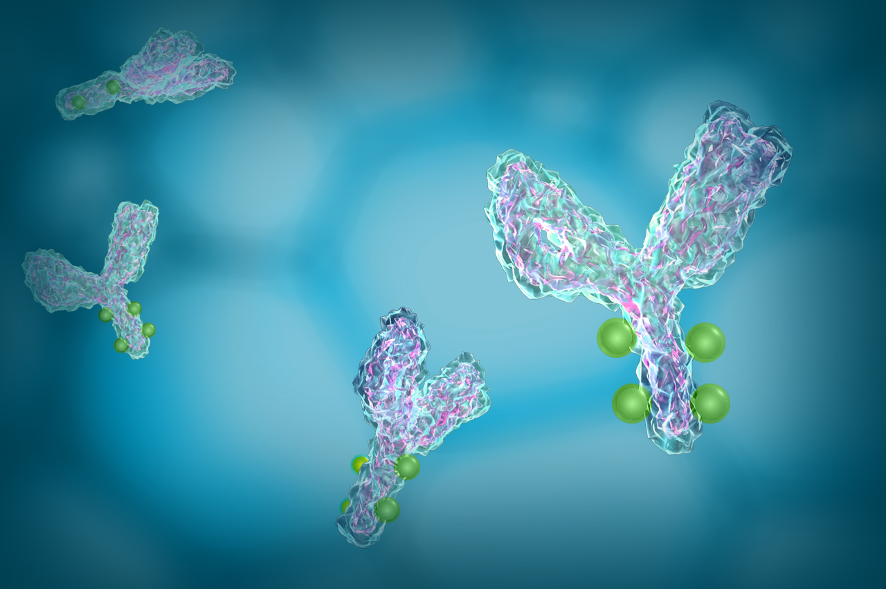 高效、快速抗体表达平台及配套超万种基因库-面向IVD客户&新药客户