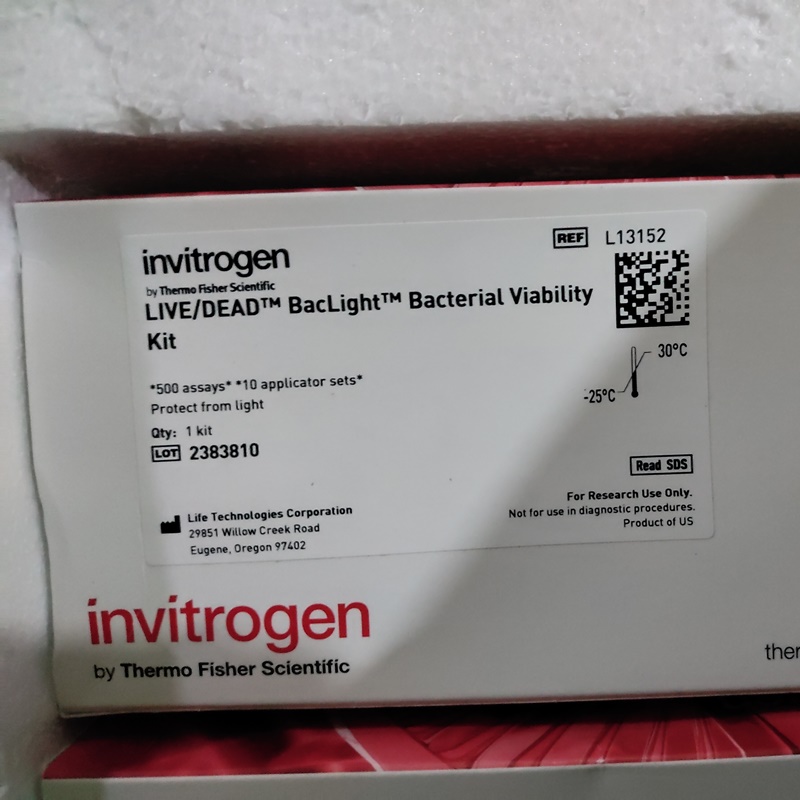 Invitrogen™ L13152  LIVE/DEAD™
