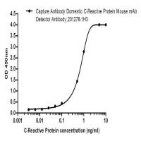 C Reactive Protein (1H3) Mouse mAb