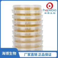 含青霉素酶的TSA表面接触皿（65mm）HBPM035-5  10个/包