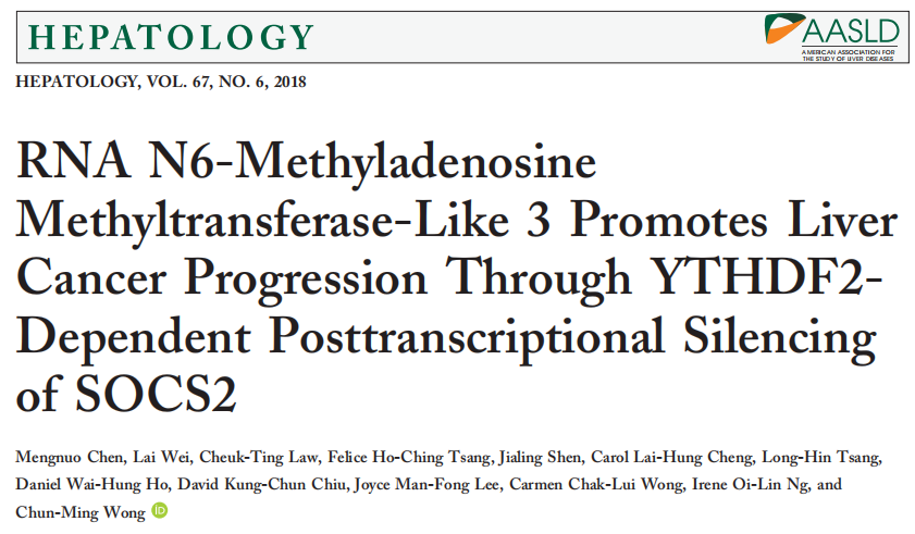 IF=17.298 l METTL3上调肝癌中m6A水平引起YTHDF2介导的SOCS2的降解