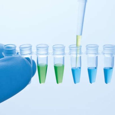 荧光定量试剂QuantiNova SYBR PCR Mix Kit （50）