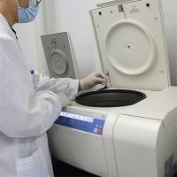 siRNA敲减-pcr验证