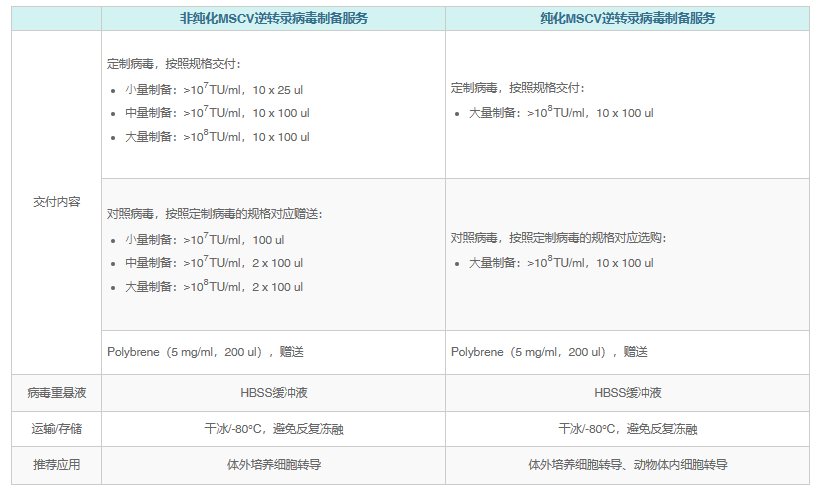 MSCV逆转录病毒/病毒包装/转基因工具
