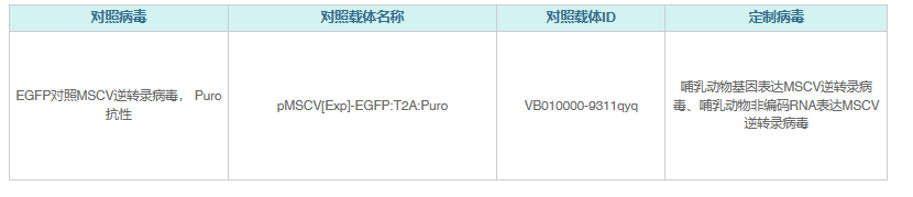 MSCV逆转录病毒/病毒包装/转基因工具