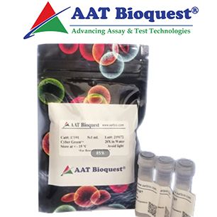 Buccutite™ Poly-HRP 抗体偶联试剂盒|Buccutite™ Poly-HRP Antibody Conjugation Kit