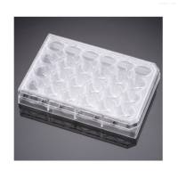 Falcon 353043 12孔透明平底多孔细胞培养板，经TC处理，带盖，独立包装，无菌，50/箱