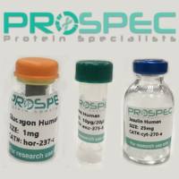 【FSBP】重组人纤维蛋白沉默子结合蛋白,Recombinant Human Fibrinogen Silencer Binding Protein