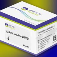 F2-RNA pulldown试剂盒适用广泛-高效-节约成本-辉骏生物