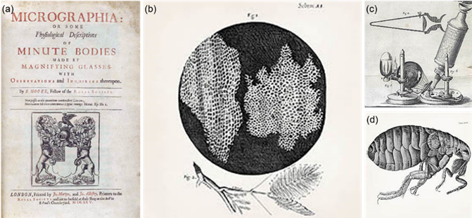 荧光超分辨显微术浅析与活细胞超分辨成像新进展