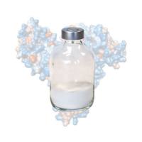 重组人血清白蛋白 N15