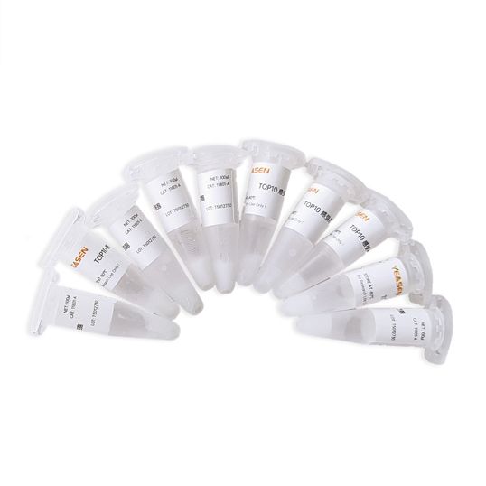 TOP10化学感受态细胞(TOP10 Chemically Competent Cell)